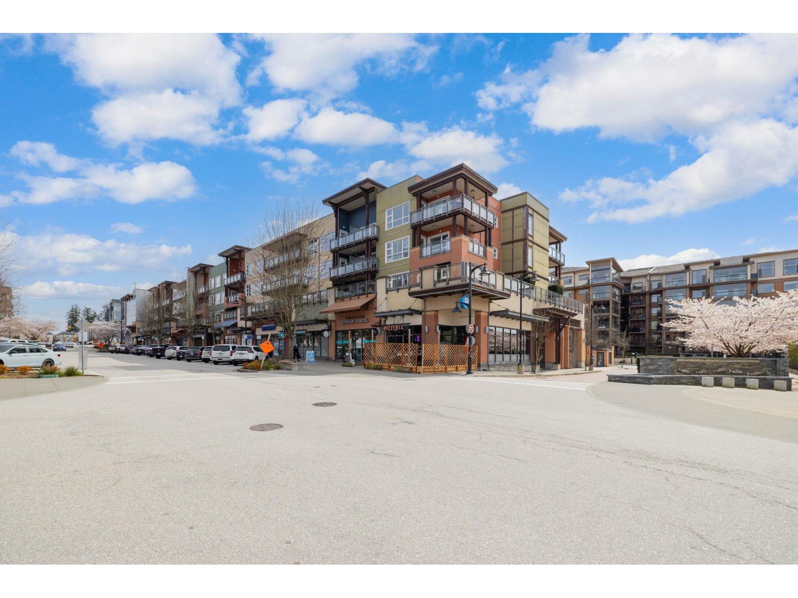 316 20728 Willoughby Town Centre Drive, Langley, British Columbia  V2Y 0P3 - Photo 40 - R3105821