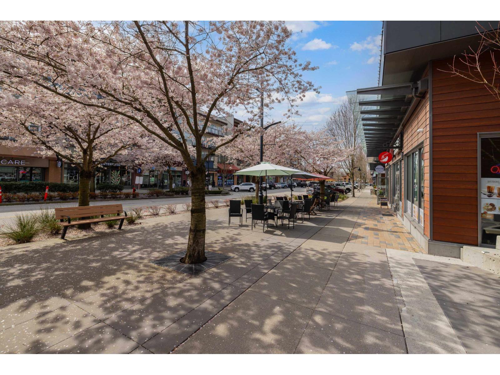 316 20728 Willoughby Town Centre Drive, Langley, British Columbia  V2Y 0P3 - Photo 38 - R3105821