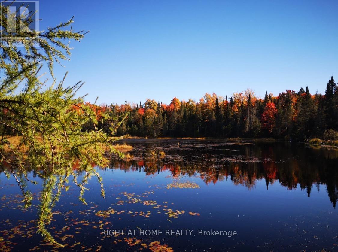 2087 Machar Strong Boundry Road, Strong, Ontario  P0A 1Z0 - Photo 1 - X12945378