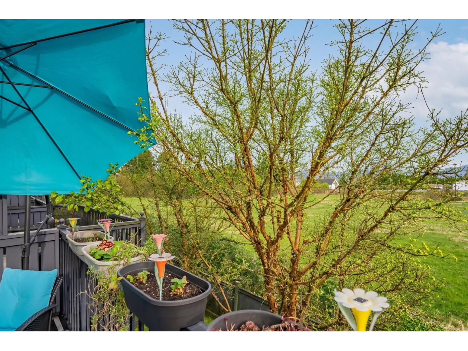 35 7348 192a Street, Surrey, British Columbia  V4N 6J2 - Photo 21 - R3104390