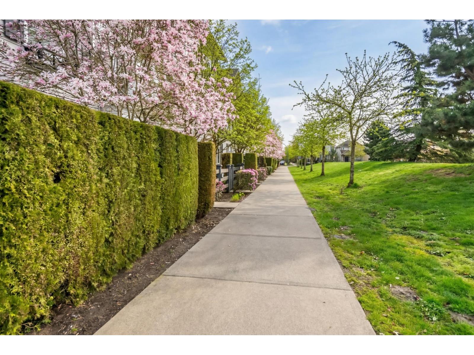 35 7348 192a Street, Surrey, British Columbia  V4N 6J2 - Photo 38 - R3104390