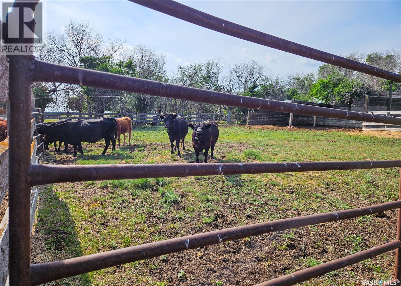 Milden Farm, Milden Rm No. 286, Saskatchewan  S0L 2L0 - Photo 10 - SK031778