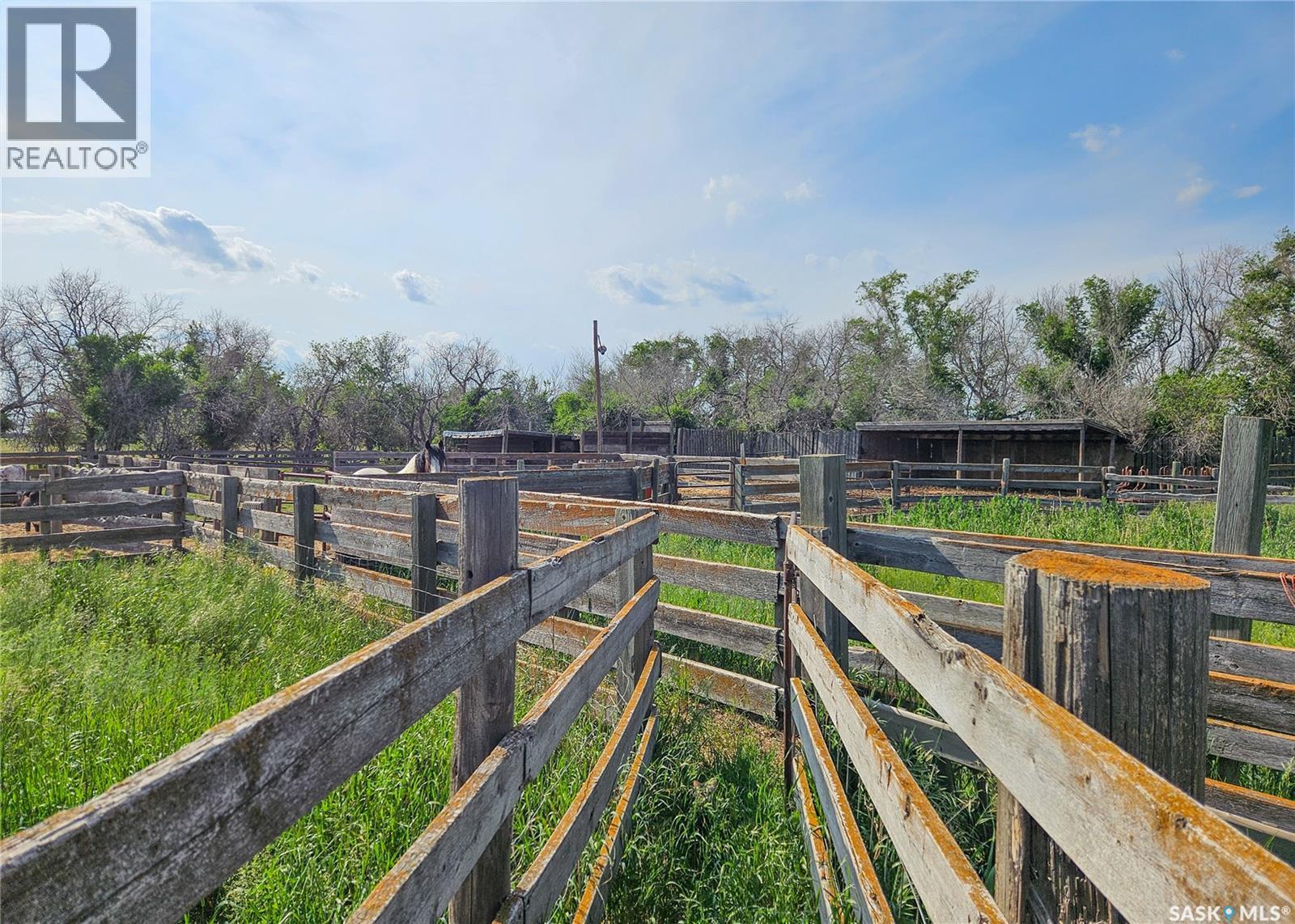 Milden Farm, Milden Rm No. 286, Saskatchewan  S0L 2L0 - Photo 9 - SK031778