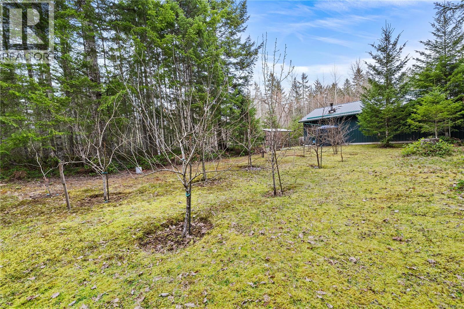 3917 Islak Rd, Black Creek, British Columbia  V9J 1Y9 - Photo 34 - 1030479