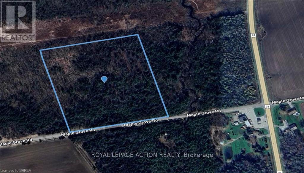 000 Maple Grove Road, Brant, Ontario  N0E 1R0 - Photo 3 - X12945560