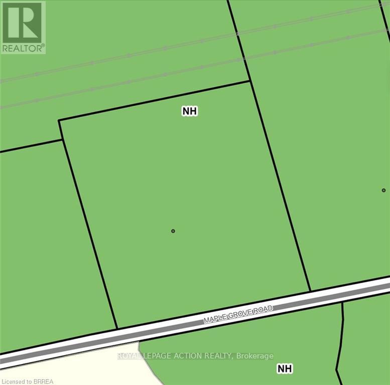 000 Maple Grove Road, Brant, Ontario  N0E 1R0 - Photo 4 - X12945560