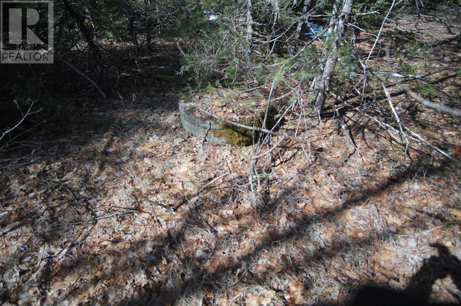 398 East Sable Road, Sable River, Nova Scotia  B0T 1V0 - Photo 16 - 202606052