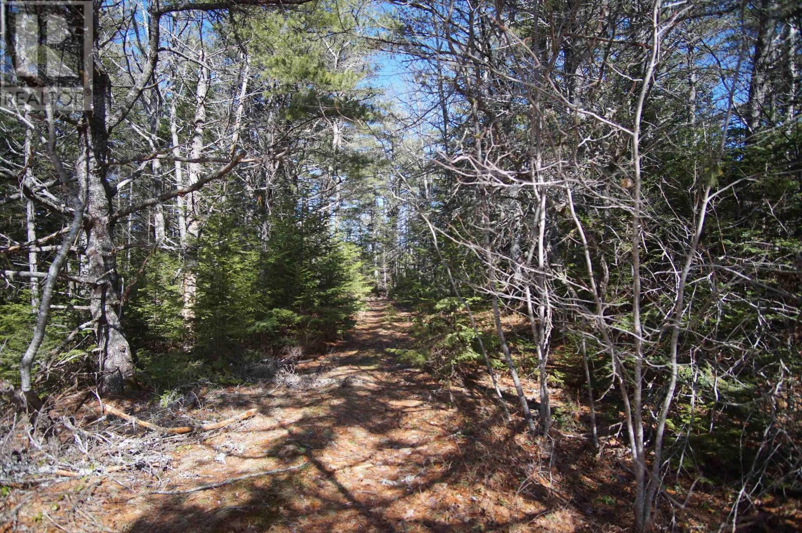 398 East Sable Road, Sable River, Nova Scotia  B0T 1V0 - Photo 17 - 202606052