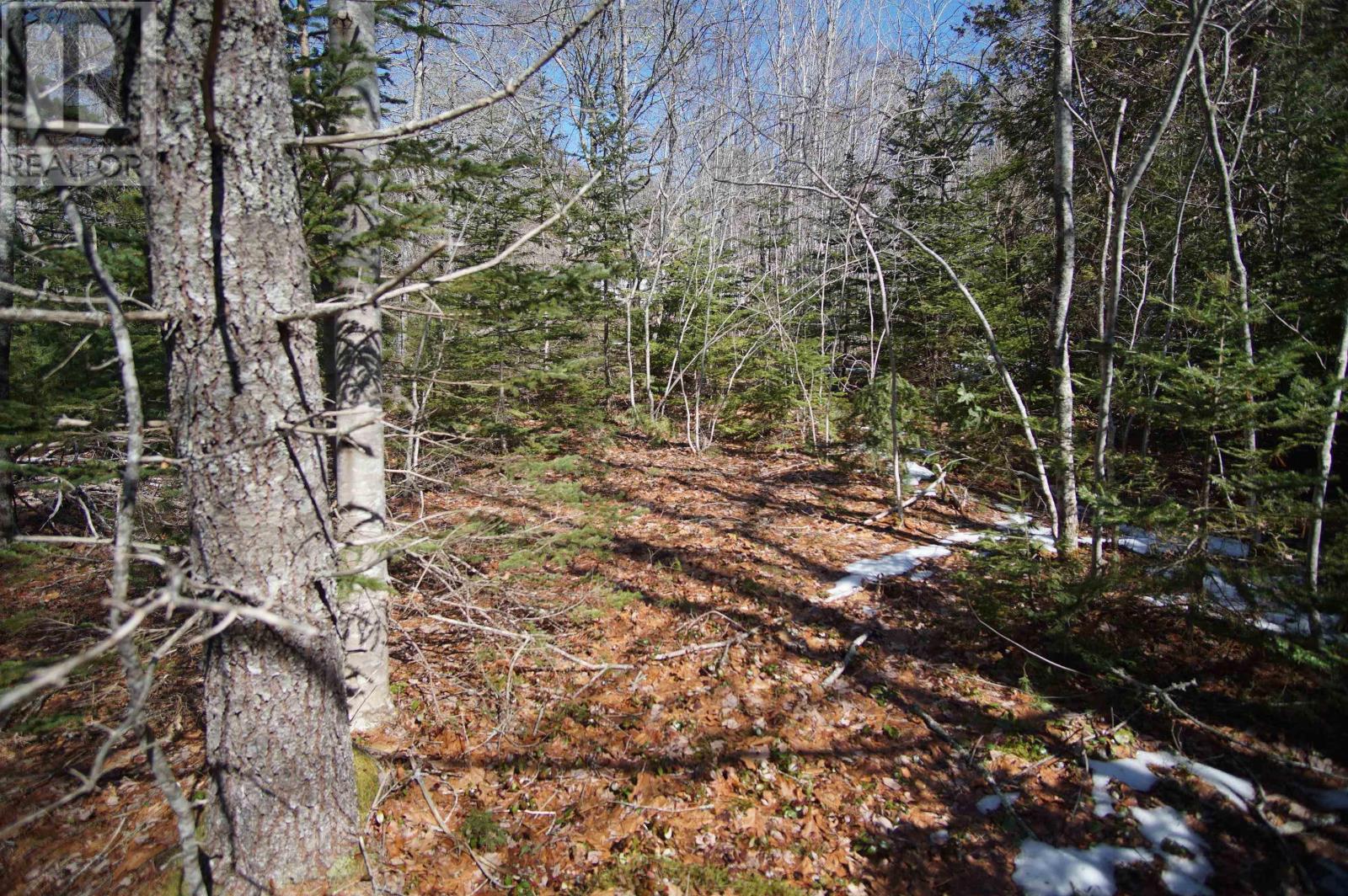 398 East Sable Road, Sable River, Nova Scotia  B0T 1V0 - Photo 9 - 202606052