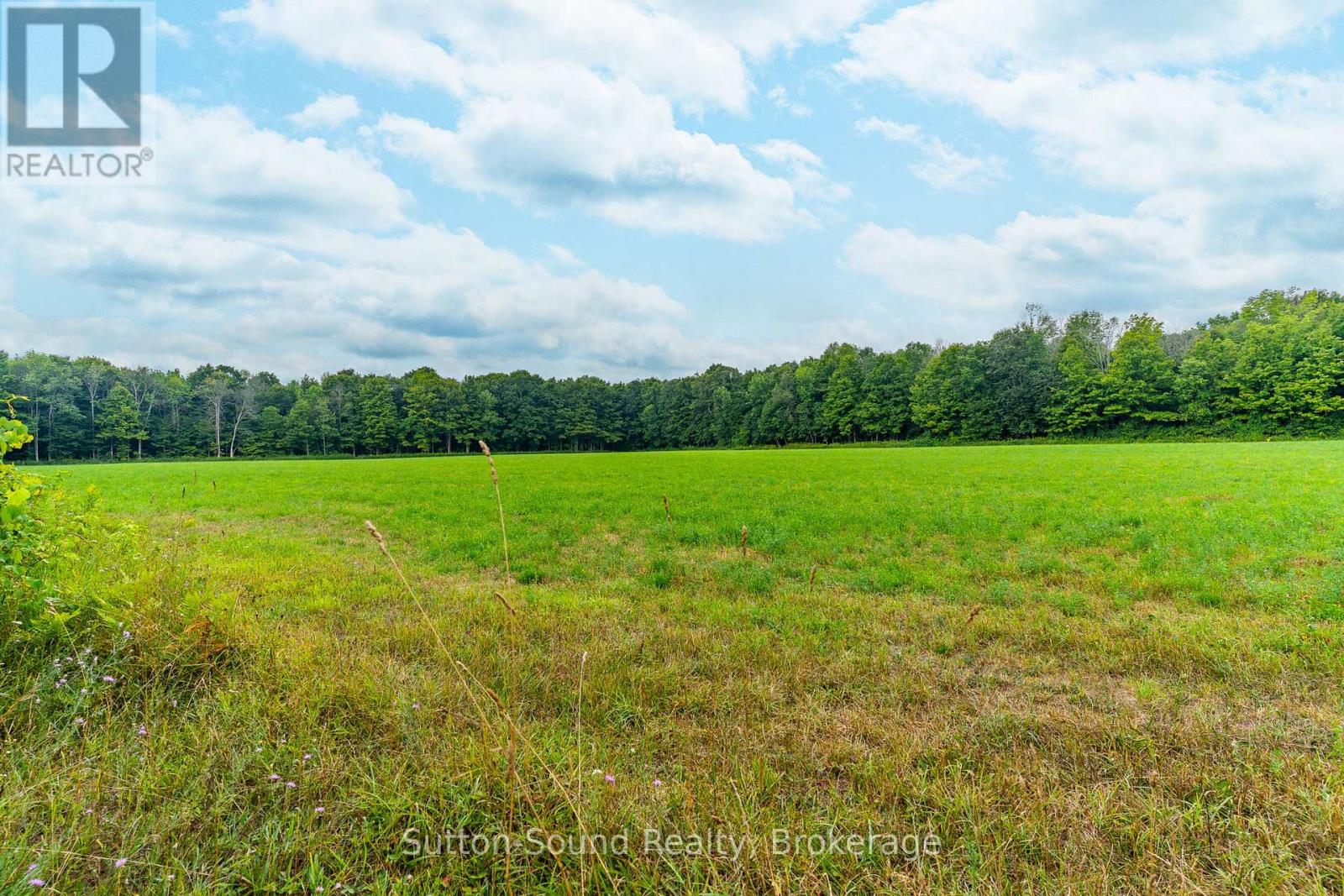 Pt Lt 35-36 Centre Diagonal Road, South Bruce Peninsula, Ontario N0H 2T0 - Photo 4 - X12945904