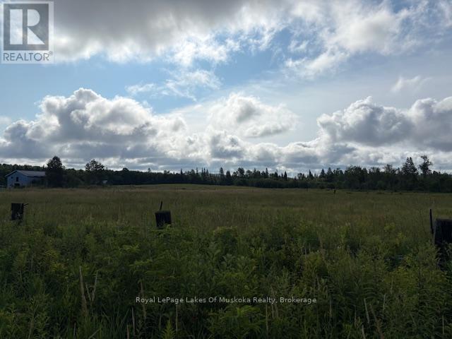 0 Old Muskoka To The West Side Of #1105 Road, Huntsville, Ontario P0B 1M0 - Photo 2 - X12946022