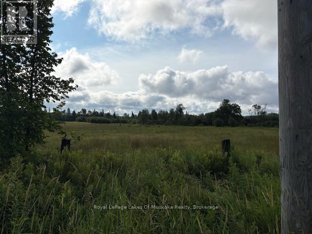 0 Old Muskoka To The West Side Of #1105 Road, Huntsville, Ontario P0B 1M0 - Photo 3 - X12946022