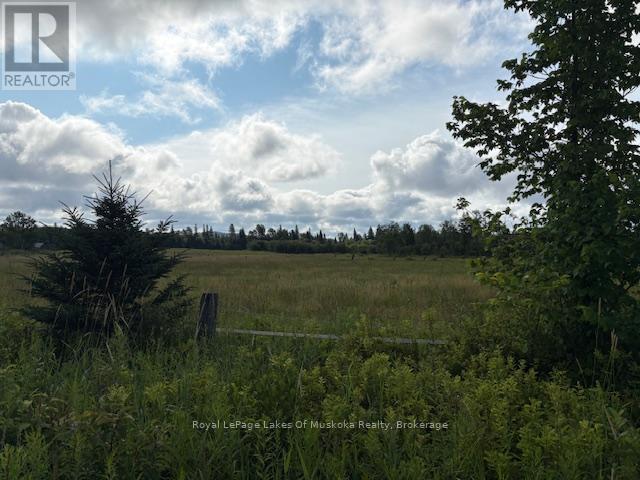 0 Old Muskoka To The West Side Of #1105 Road, Huntsville, Ontario P0B 1M0 - Photo 6 - X12946022