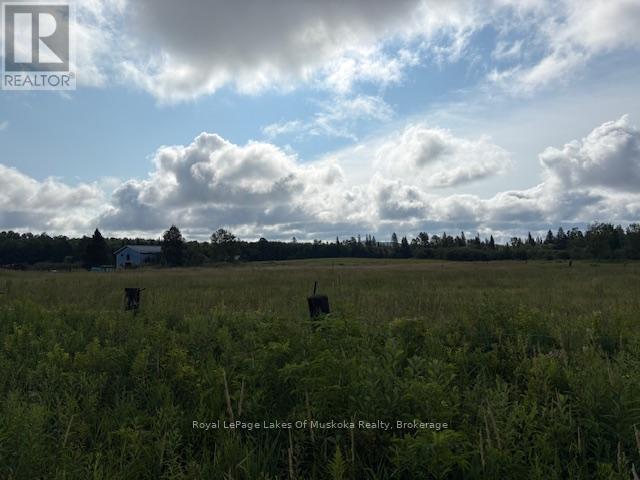 0 Old Muskoka To The West Side Of #1105 Road, Huntsville, Ontario P0B 1M0 - Photo 7 - X12946022