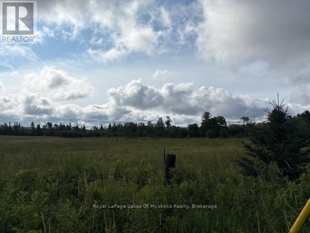 0 Old Muskoka To The West Side Of #1105 Road, Huntsville, Ontario P0B 1M0 - Photo 8 - X12946022