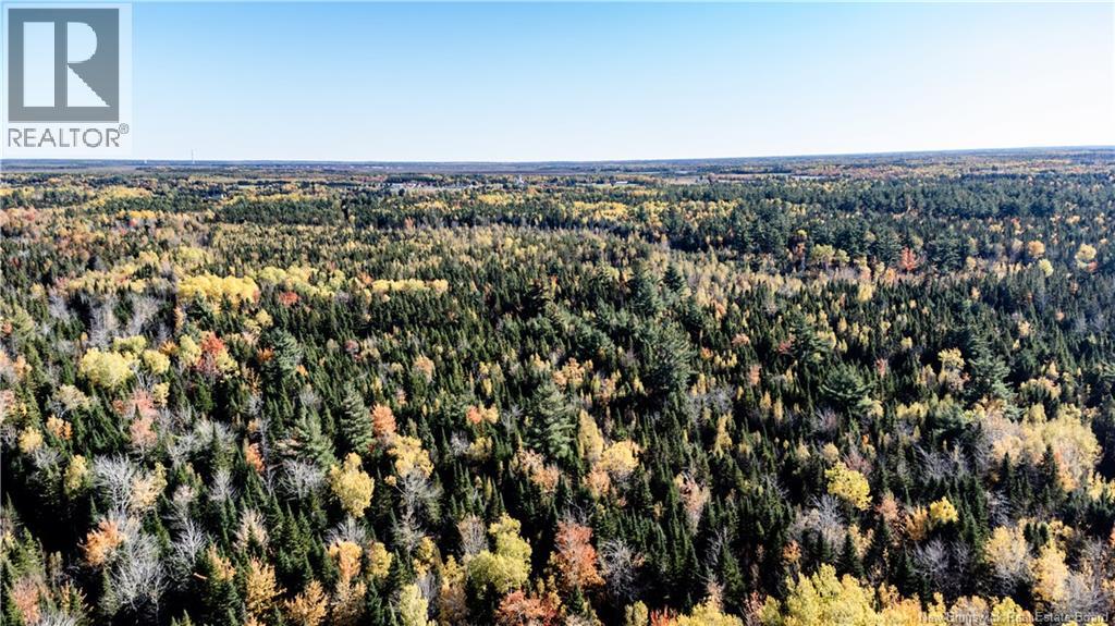 Lot Saint Charles N, Saint-Charles, New Brunswick  E4W 4X8 - Photo 11 - NB136291