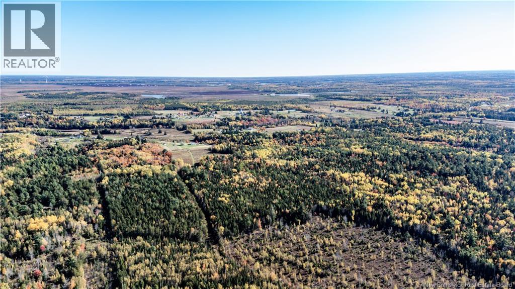 Lot Saint Charles N, Saint-Charles, New Brunswick  E4W 4X8 - Photo 14 - NB136291
