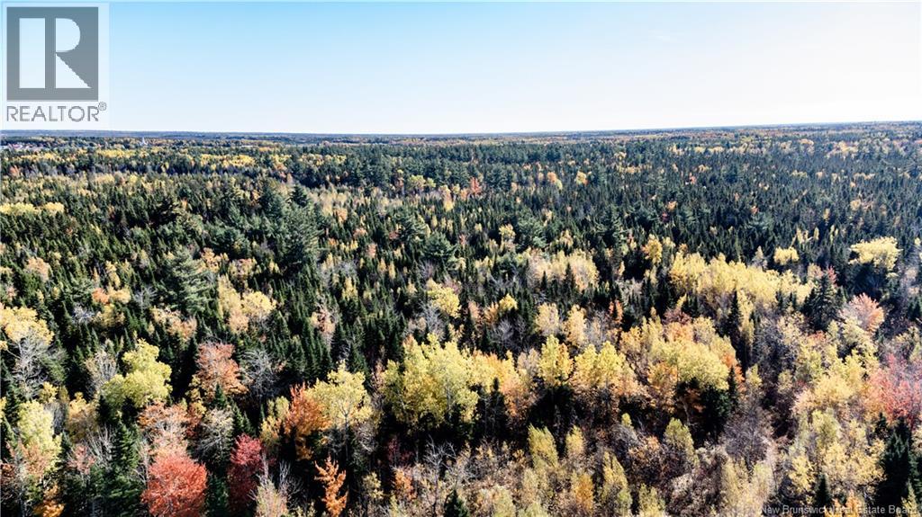 Lot Saint Charles N, Saint-Charles, New Brunswick  E4W 4X8 - Photo 10 - NB136291