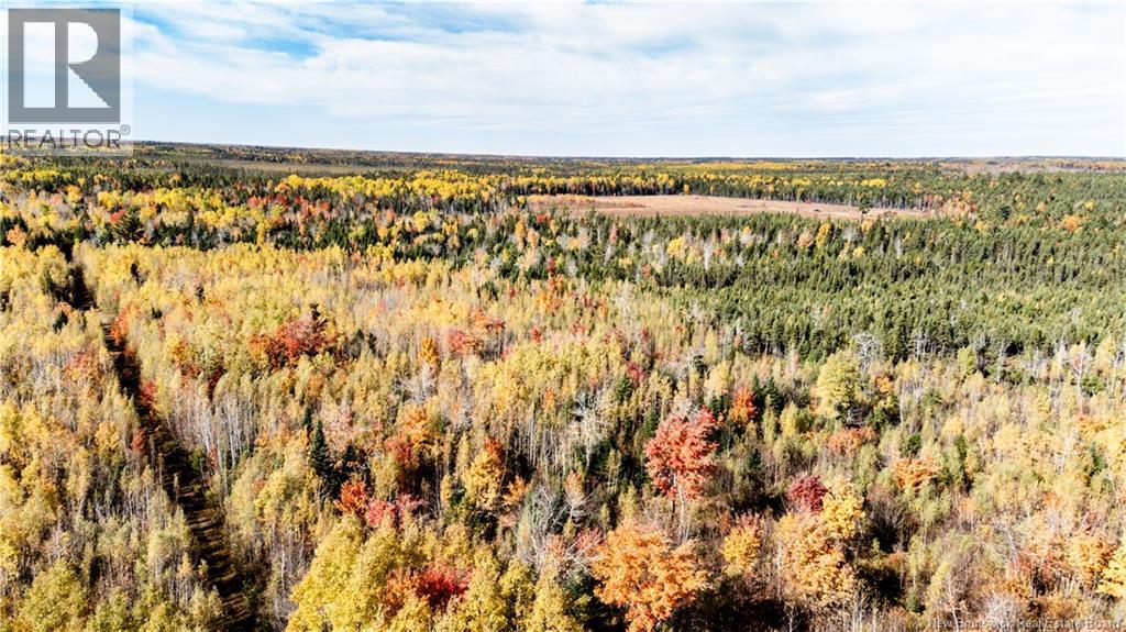 Lot Saint Charles N, Saint-Charles, New Brunswick  E4W 4X8 - Photo 7 - NB136291