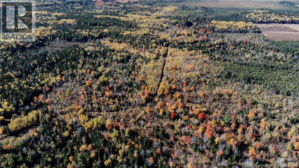 Lot Saint Charles N, Saint-Charles, New Brunswick  E4W 4X8 - Photo 19 - NB136291