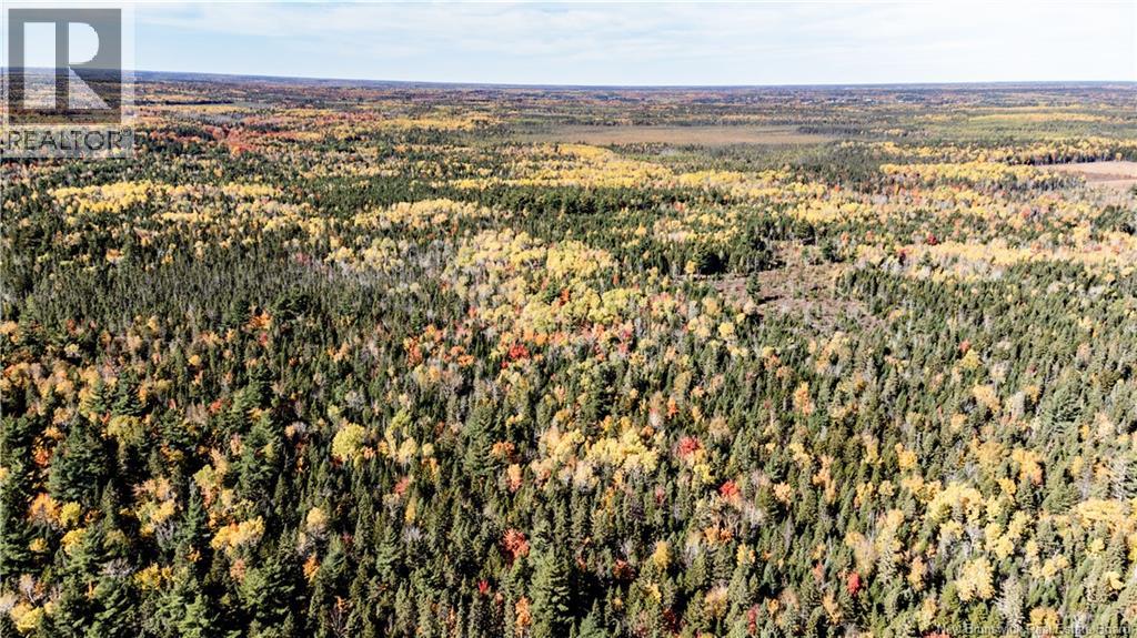 Lot Saint Charles N, Saint-Charles, New Brunswick  E4W 4X8 - Photo 3 - NB136291