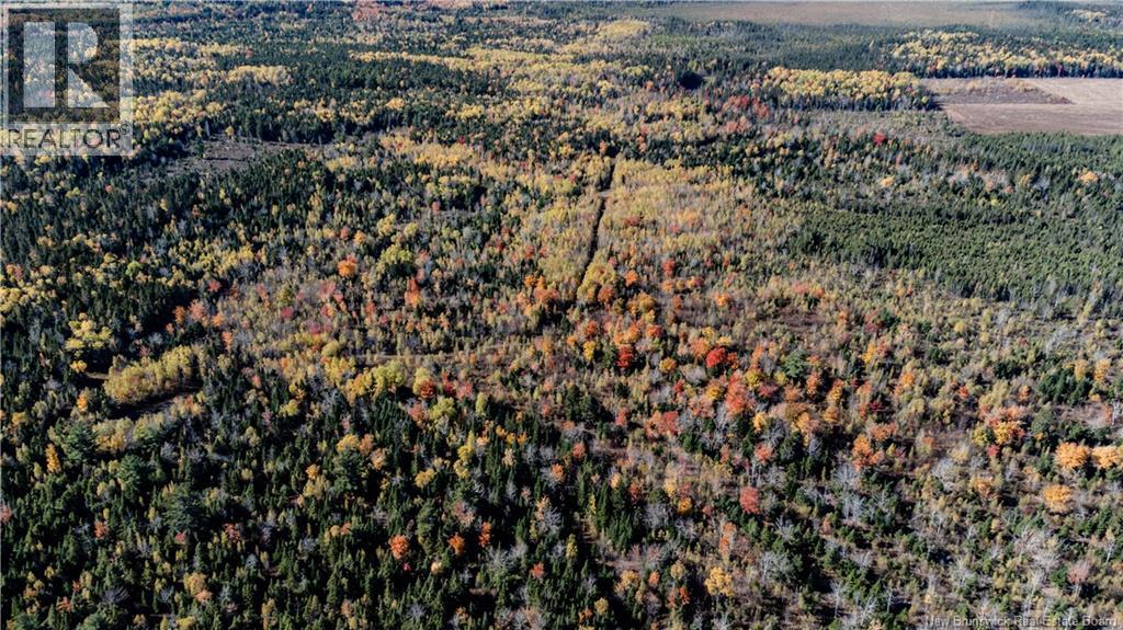 Lot Saint Charles N, Saint-Charles, New Brunswick  E4W 4X8 - Photo 17 - NB136291