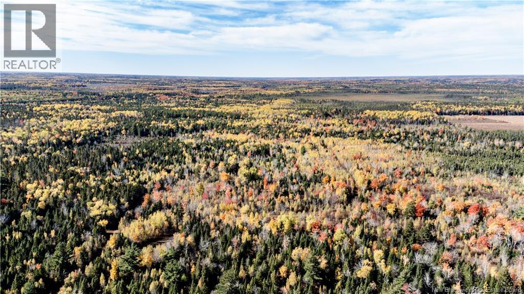 Lot Saint Charles N, Saint-Charles, New Brunswick  E4W 4X8 - Photo 12 - NB136291