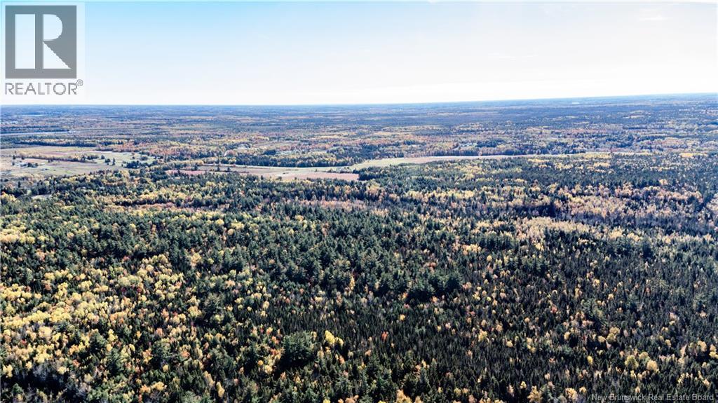 Lot Saint Charles N, Saint-Charles, New Brunswick  E4W 4X8 - Photo 13 - NB136291