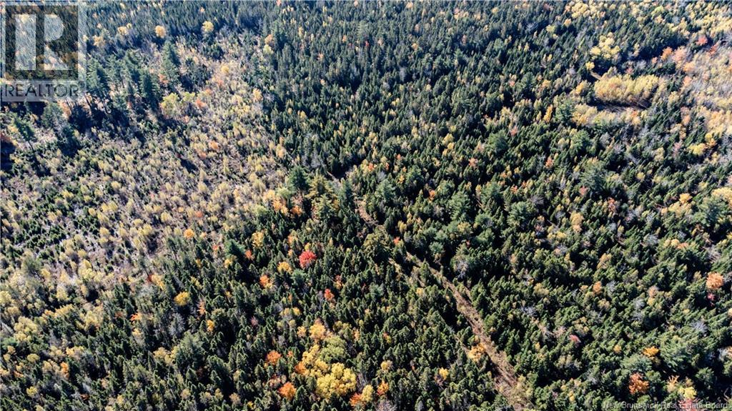 Lot Saint Charles N, Saint-Charles, New Brunswick  E4W 4X8 - Photo 15 - NB136291