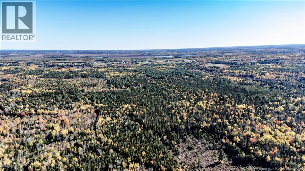 Lot Saint Charles N, Saint-Charles, New Brunswick  E4W 4X8 - Photo 6 - NB136291