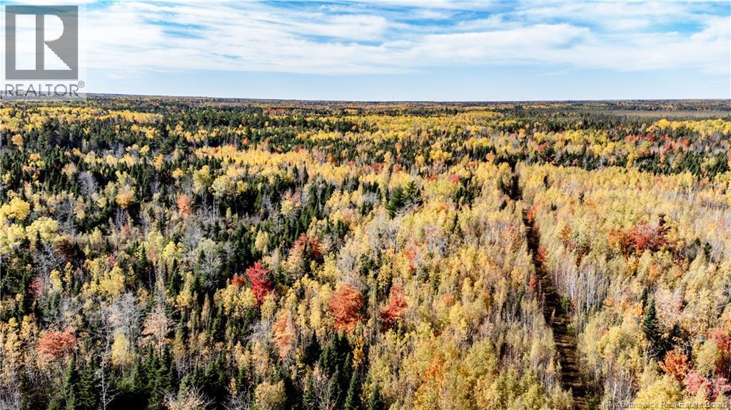 Lot Saint Charles N, Saint-Charles, New Brunswick  E4W 4X8 - Photo 8 - NB136291