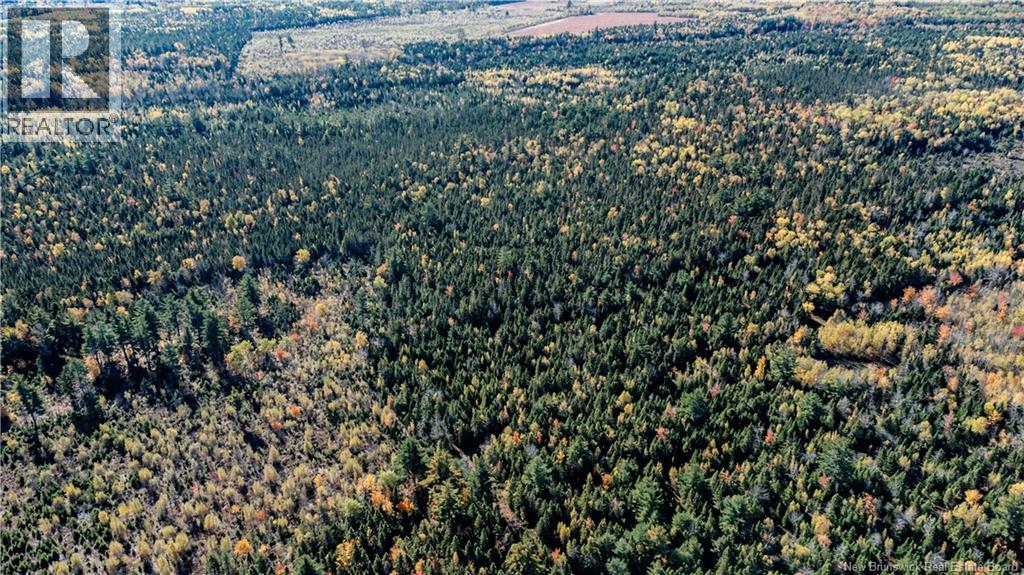 Lot Saint Charles N, Saint-Charles, New Brunswick  E4W 4X8 - Photo 16 - NB136291