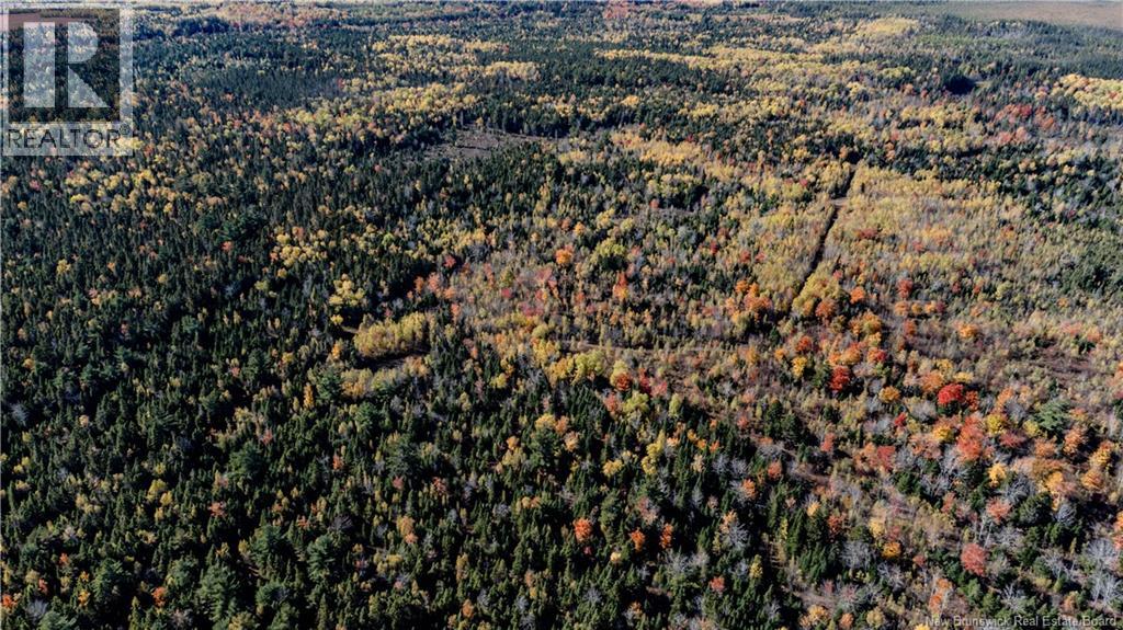Lot Saint Charles N, Saint-Charles, New Brunswick  E4W 4X8 - Photo 18 - NB136291