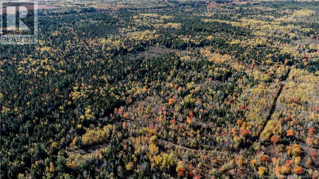 Lot Saint Charles N, Saint-Charles, New Brunswick  E4W 4X8 - Photo 20 - NB136291