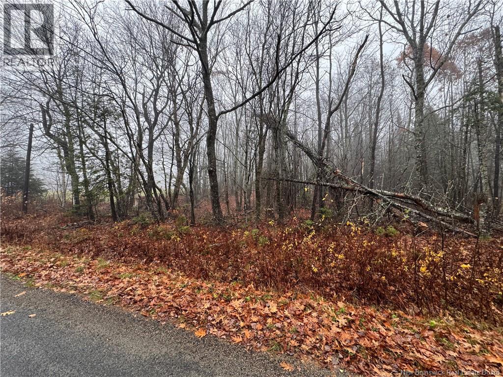 25-02 St. David Ridge Road, Oak Bay, New Brunswick  E3L 4R1 - Photo 6 - NB136354