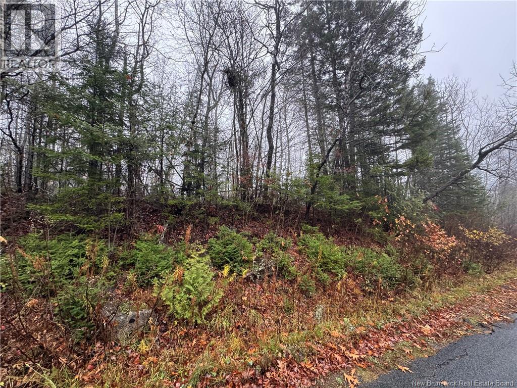 25-02 St. David Ridge Road, Oak Bay, New Brunswick  E3L 4R1 - Photo 1 - NB136354