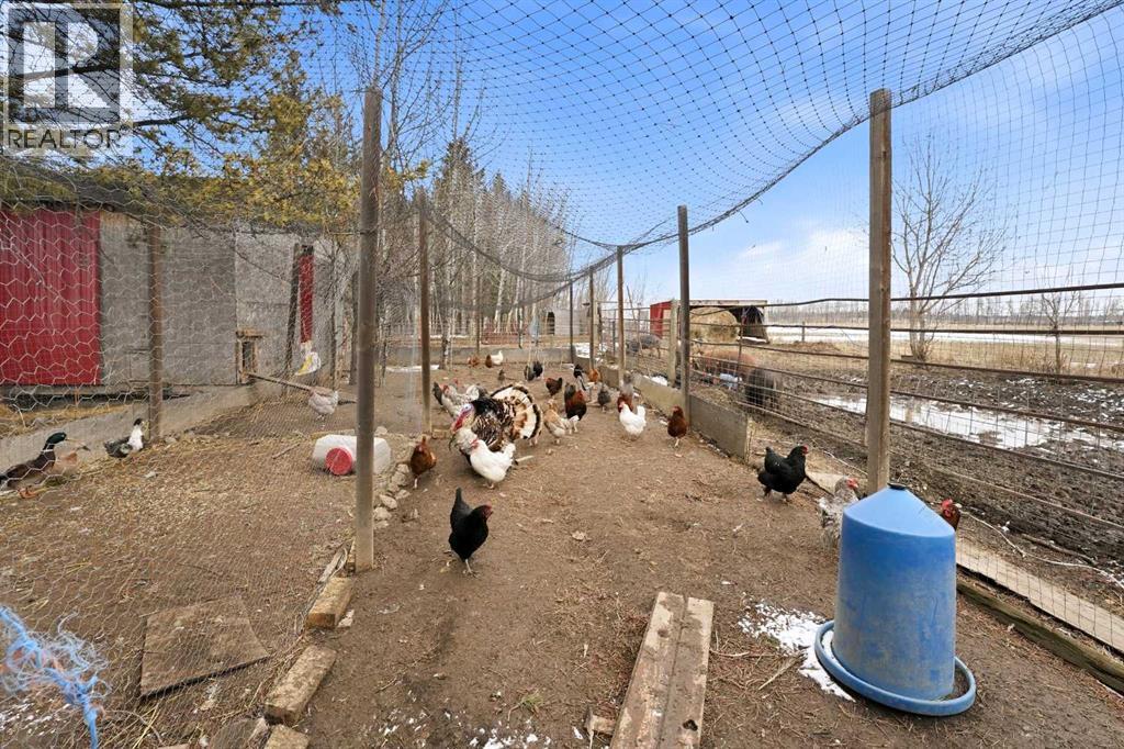 71034 A And B Township Road 38-1, Rural Clearwater County, Alberta  T4T 2A3 - Photo 35 - A2296717