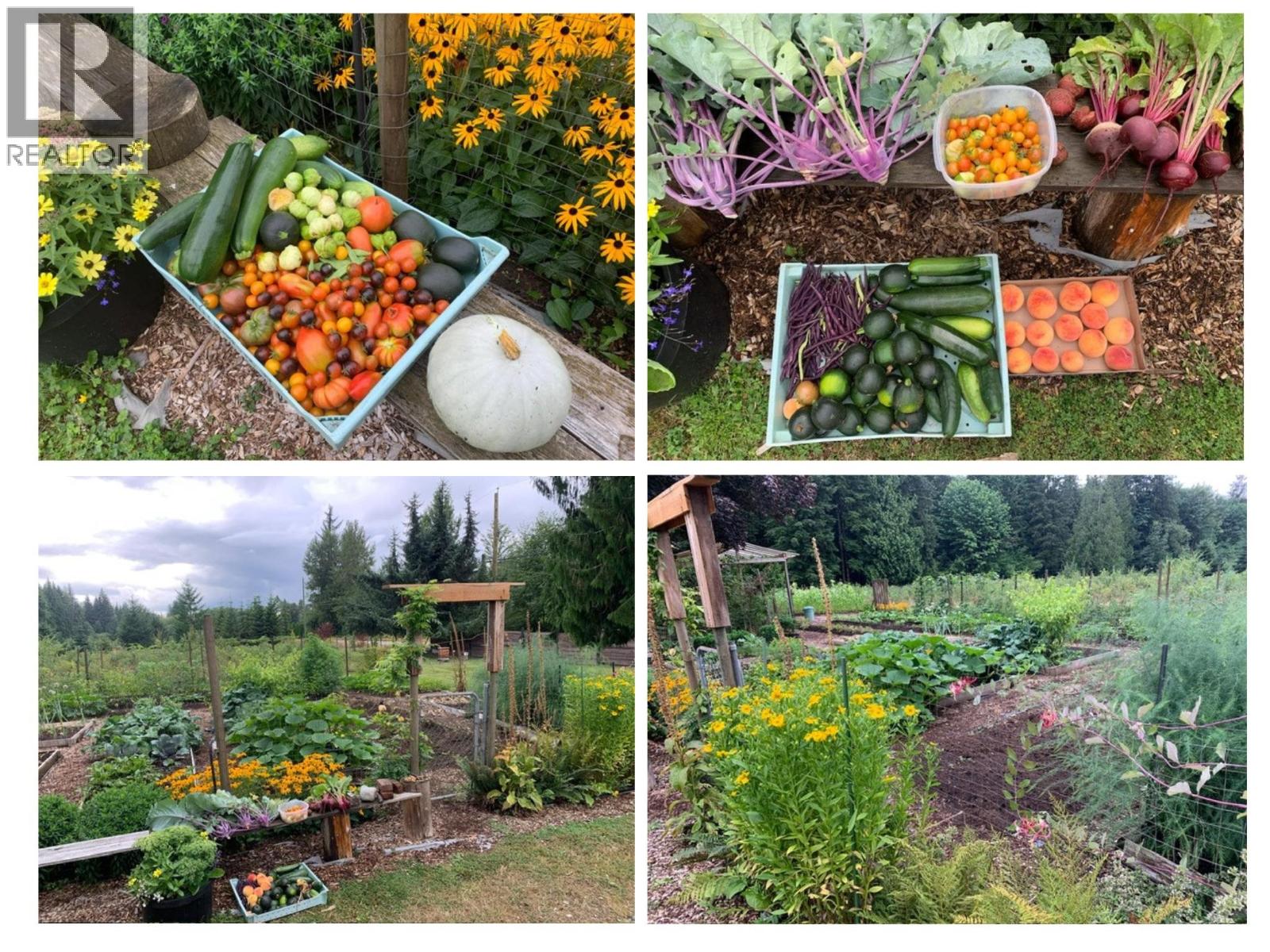 25908 124 Avenue, Maple Ridge, British Columbia  V4R 1B8 - Photo 37 - R3103325