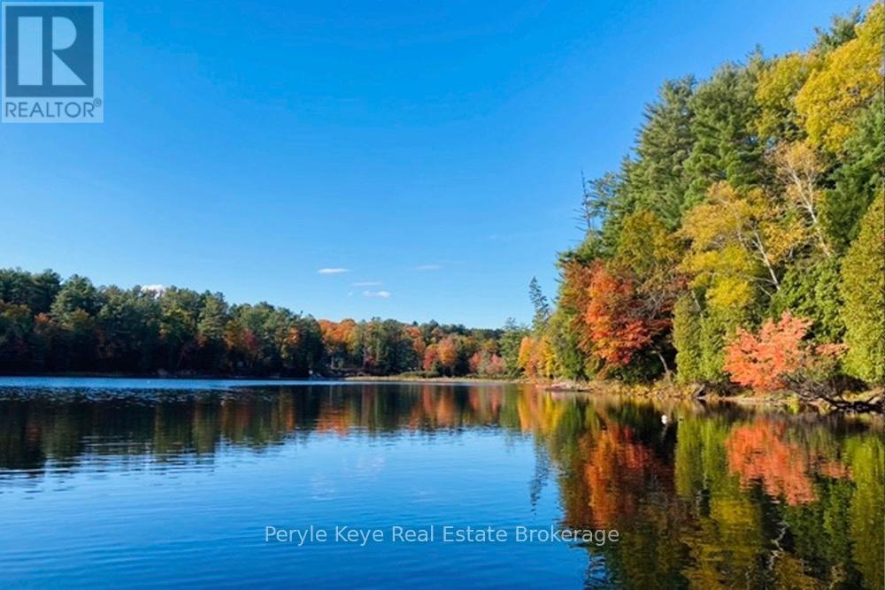 136 Deer Lake Road, Huntsville, Ontario  P0B 1L0 - Photo 12 - X12869418