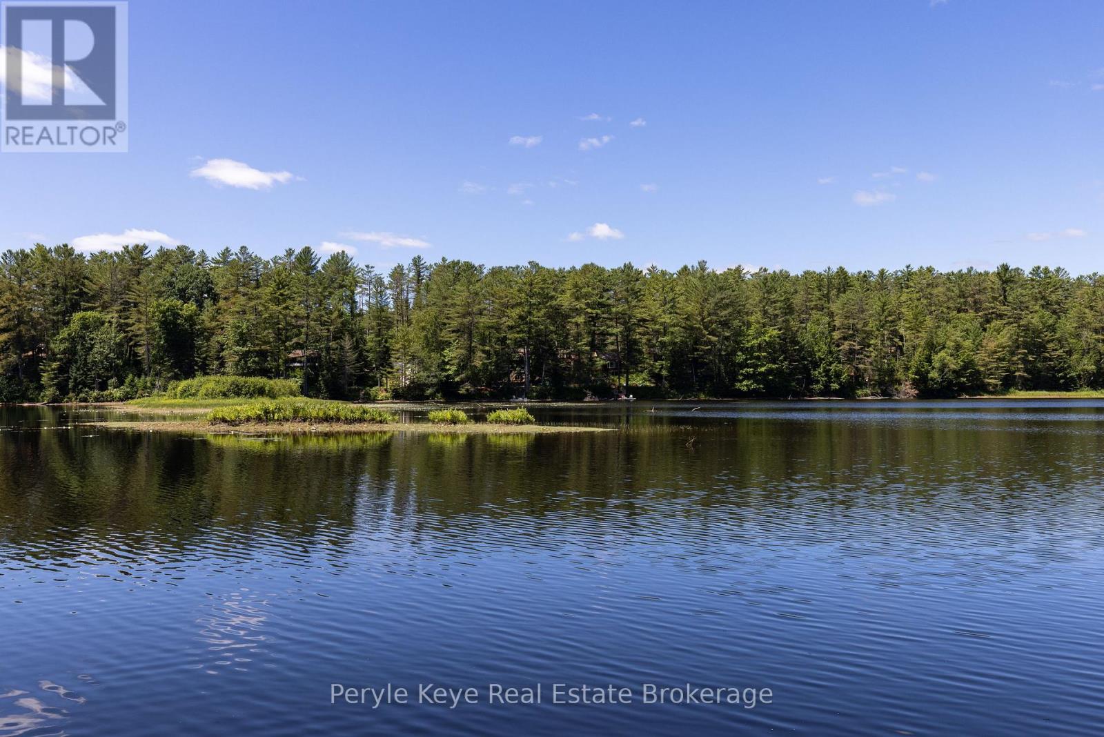 136 Deer Lake Road, Huntsville, Ontario  P0B 1L0 - Photo 48 - X12869418