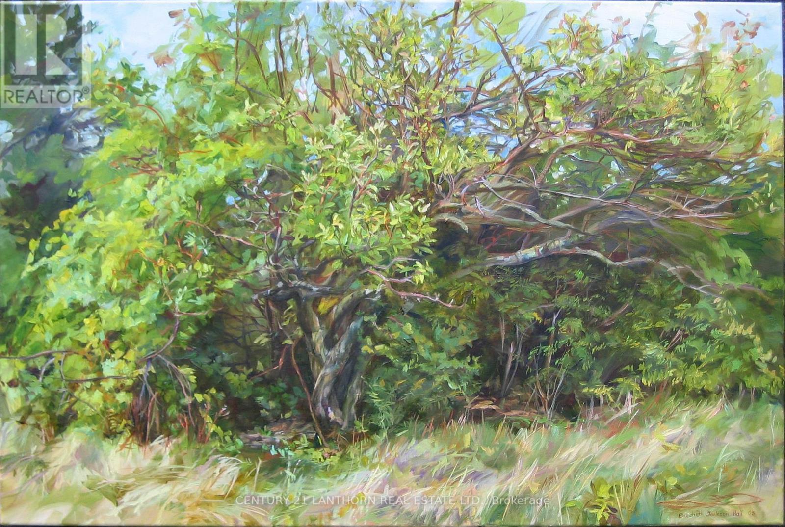 1677 County 8 Road, Prince Edward County, Ontario  K0K 2T0 - Photo 36 - X12946172