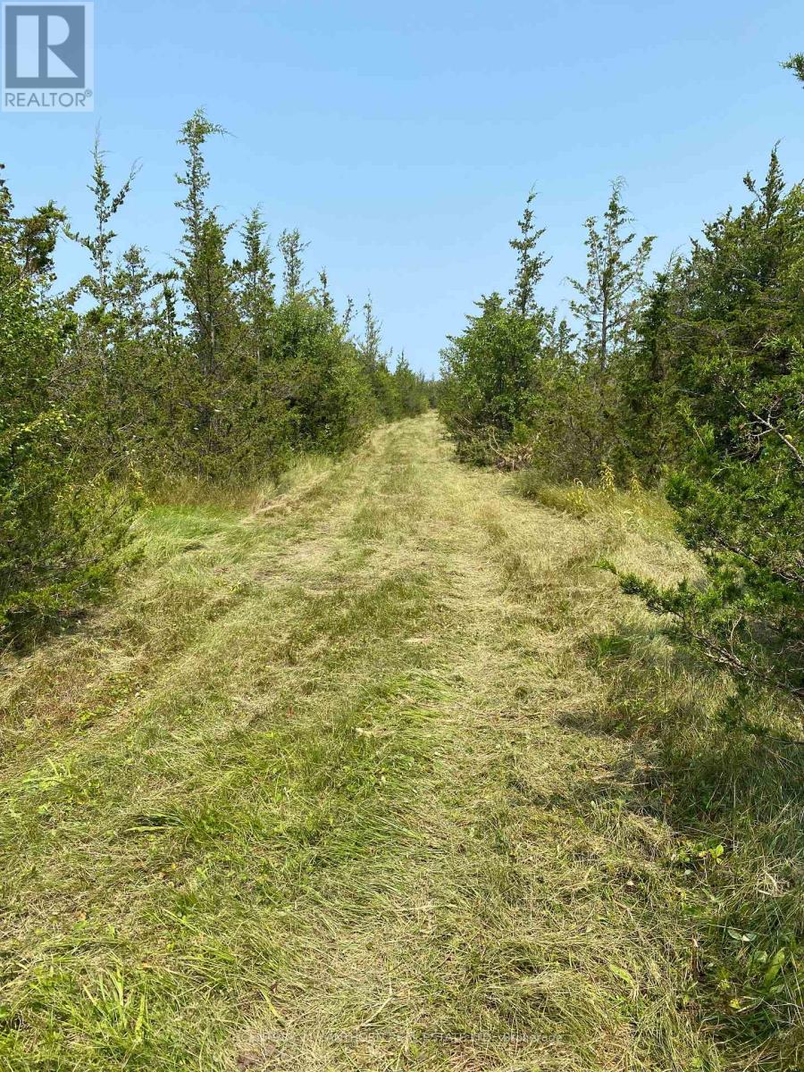 1677 County 8 Road, Prince Edward County, Ontario  K0K 2T0 - Photo 37 - X12946172