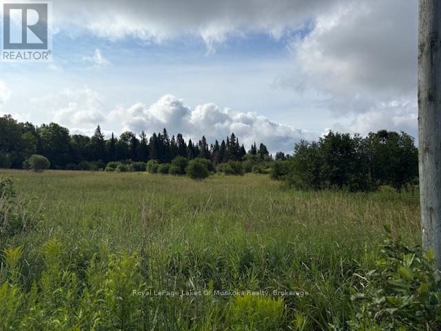 0 Old Muskoka To The East Side Of #1105 Road, Huntsville, Ontario P0B 1M0 - Photo 2 - X12946040