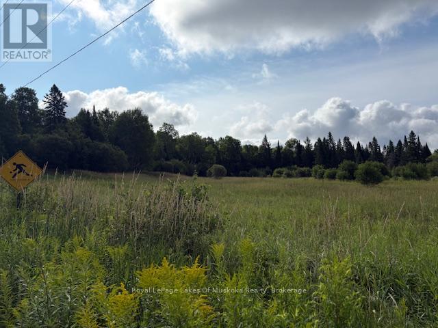 0 Old Muskoka To The East Side Of #1105 Road, Huntsville, Ontario P0B 1M0 - Photo 4 - X12946040