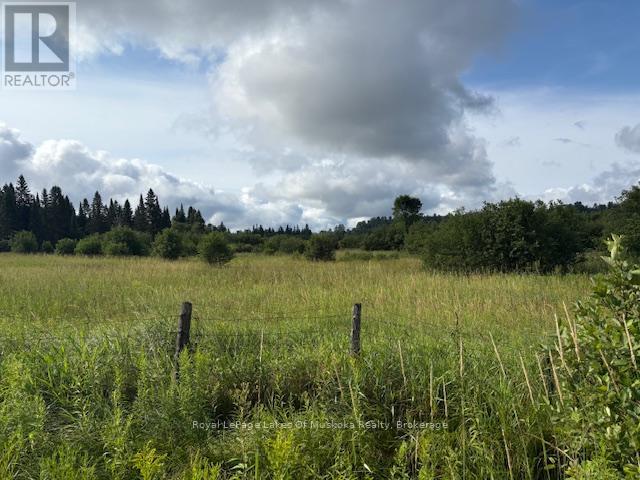 0 Old Muskoka To The East Side Of #1105 Road, Huntsville, Ontario P0B 1M0 - Photo 5 - X12946040
