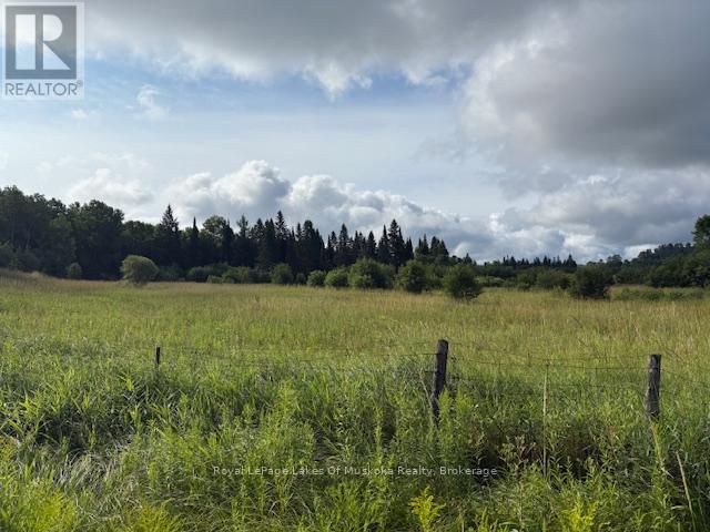 0 Old Muskoka To The East Side Of #1105 Road, Huntsville, Ontario P0B 1M0 - Photo 6 - X12946040