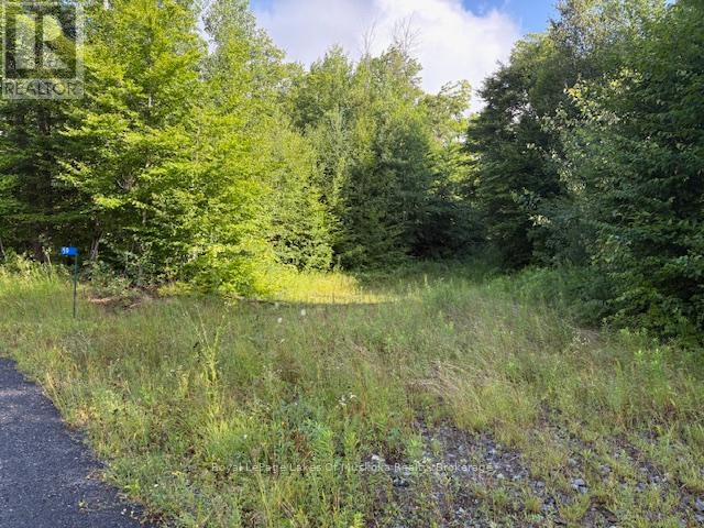 59 SUMMER LEIGH TRAIL, Huntsville, Ontario