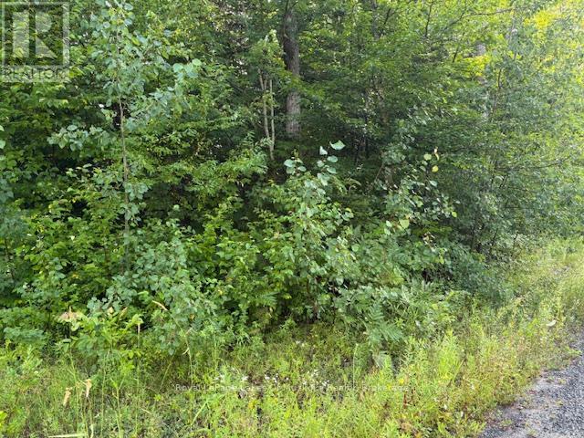 59 Summer Leigh Trail, Huntsville, Ontario P0B 1M0 - Photo 3 - X12946102