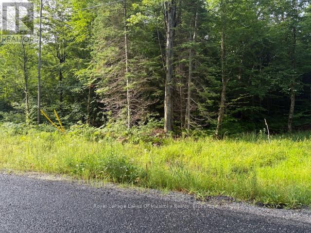 60 Summer Leigh Trail, Huntsville, Ontario P0B 1M0 - Photo 2 - X12946170