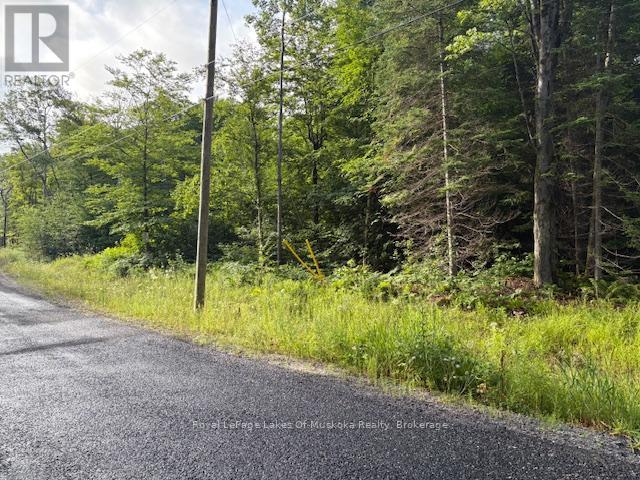 60 Summer Leigh Trail, Huntsville, Ontario P0B 1M0 - Photo 3 - X12946170